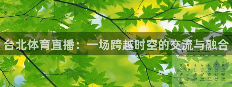 nba直播雨燕：台北体育直播：一场跨越时空的交流与融合