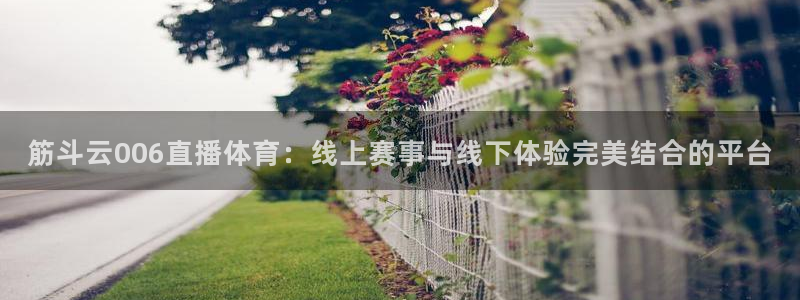 新雨燕直播足球直播：筋斗云006直播体育：线上赛事与线下体验完美结合的平台