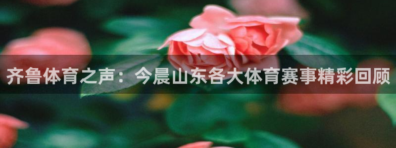 雨燕体育nba在线直播：齐鲁体育之声：今晨山东各大体育赛事精彩回顾