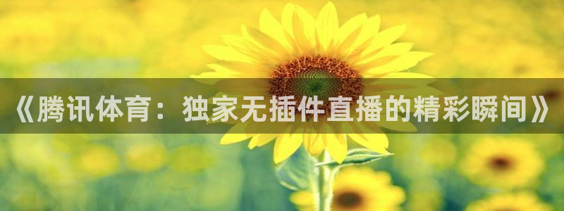 雨燕足球直播首页：《腾讯体育：独家无插件直播的精彩瞬间》