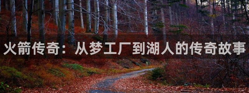 雨燕体育直播足球直播：火箭传奇：从梦工厂到湖人的传奇故事