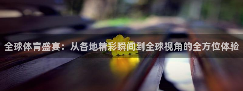雨燕足球直播体育直播：全球体育盛宴：从各地精彩瞬间到全球视角的全方位体验
