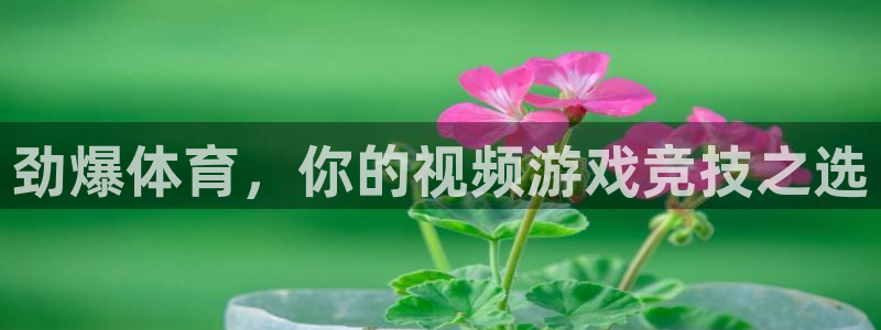 雨燕在线直播篮球：劲爆体育，你的视频游戏竞技之选