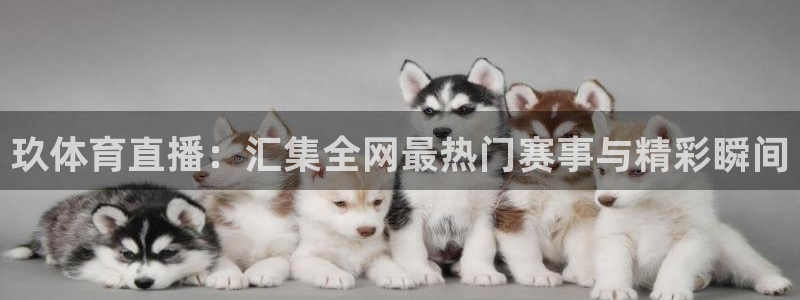 雨燕篮球直播在线观看：玖体育直播：汇集全网最热门赛事与精彩瞬间