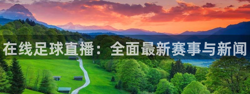 雨燕直播在线观看直播nba直播：在线足球直播：全面最新赛事与新闻