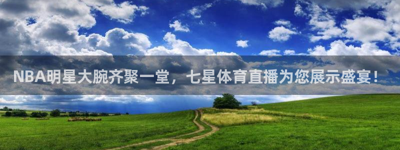 雨燕360体育直播nba：NBA明星大腕齐聚一堂，七星体育直播为您展示盛宴！