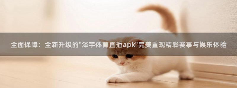 雨燕360免费直播nba赛事：全面保障：全新升级的\