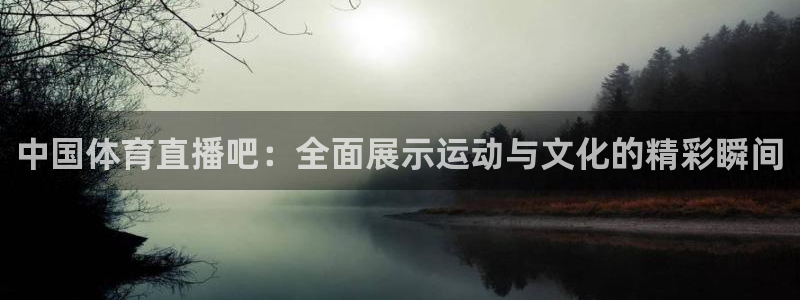 雨燕足球免费直播：中国体育直播吧：全面展示运动与文化的精彩瞬间
