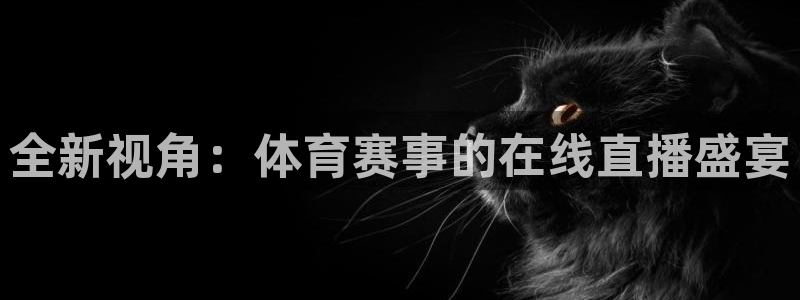 雨燕足球直播雨燕：全新视角：体育赛事的在线直播盛宴